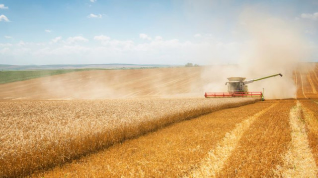 Зърнените стоки понижават цените си през изминалата седмица на световните борсови
